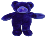 midnight teddybear