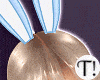 T! Seductive Bunny Bdl 4