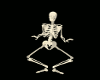 Skeleton Costume M/F