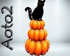 !N PUMKIN CAT