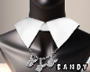 !C Polo Play Collar 2/2