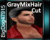 [BD]GrayMixHairCut