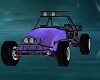 CK Sand Buggy Purple