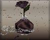 Z Plum Rose Vase Anim