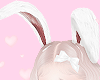 Bunny Ears >_<