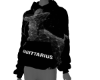 Sagittarius Hoodie