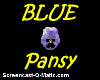 Pansy ~ Blue sticker