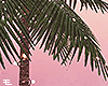 Palm tree lights