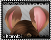 xb. Tanuki Ears V1