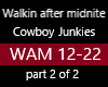 WALKING AFTER MIDNIGHT 2