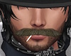 Cowboy Mustache