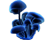 Mushrooms