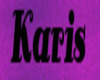 karis pet collar