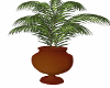 Brown Potted Plant