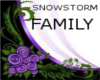snowstorm family rug