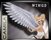 ! White Wings - Angel -