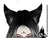 Black/White Fox Ears Up