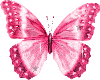 Pink butterfly(flash)