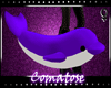 CMl Funny Dolphin Purple