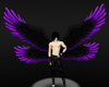 Purple/Black Raver Wings