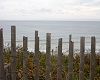 [PC]MA-CapeCod20