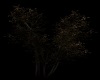*J* Dark Tree...