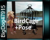 [BD]BirdCage+Pose