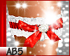 AB5 Bridal Garter W/Red