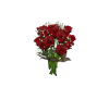 Beautiful roses