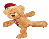 Skate on Teddy