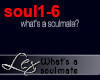 LEX What's a soulmate