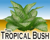 Tropical Bush -v1a