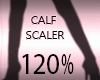 CALF*120 SCALER