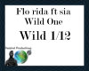 FloRida ft.Sia -wild one