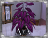*A* Visions Plant