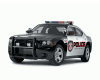 Police car  w/TRIGGERS