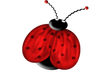 Red Ladybug Sticker