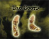 *DC* Leo boots