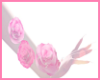 roses hand
