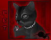 Dark Kitten Pet- Dockele