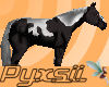 Black Paint Horse (pet)