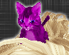 *violet Head Kitty