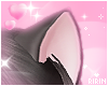 Nekomimi Dark Brown Ears