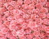 PiNK Roses 3D BG
