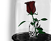✮ skeleton rose #2