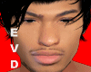 Asteri Heads QA