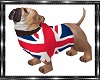english bar bulldog