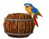 Parrot on Barrel