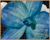 Mystic Orchid Jewel Set