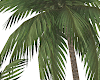Tulum Gazebo w Palms